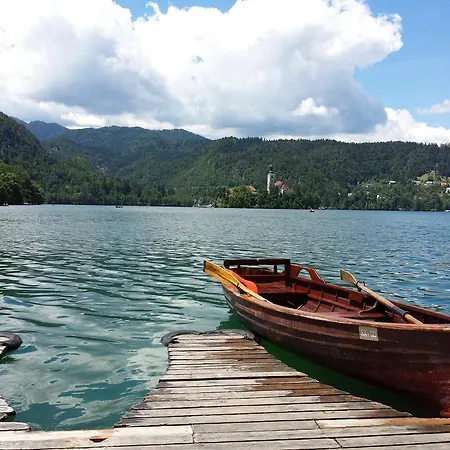 Carman House 招待所 布莱德